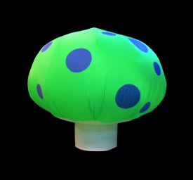 toadstool-1