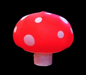 toadstool-2